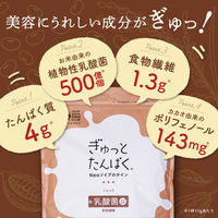 ぎゅっとたんぱくショコラ 1個 不二製油