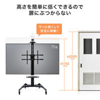 サンワサプライ 手動上下昇降テレビスタンド カメラ台・大型キャスター付 ブラック CR-PL61BK 1台（直送品）