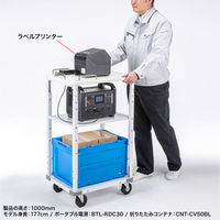 サンワサプライ 作業用プリンタカート 幅450×奥行600×高さ800～1000mm ホワイト RAC-FA6 1個（直送品）