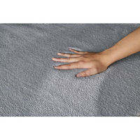 スミノエ ホームラグ ミニマル リュクス 消臭 防炎 ラグ ハク 1900×2400mm グレー 4549781310848 1枚（直送品）