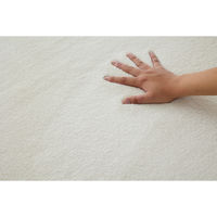 スミノエ ホームラグ ミニマル リュクス 消臭 防炎 ラグ ハク 1500×1500mm ホワイト 4549781310985 1枚（直送品）