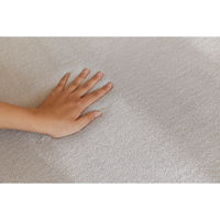 スミノエ ホームラグ ミニマル リュクス 消臭 防炎 ラグ ハク 1500×1500mm グレージュ 4549781311005 1枚（直送品）