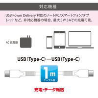 オーム電機 PD対応 C TO 10KCCーW 01-7184 1個