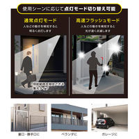 オーム電機 防犯センサーライトB200Y2 07-8812 1個