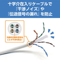 ナカバヤシ カテゴリー6A LANケーブル ホワイト 1m C6A-01WH 1本