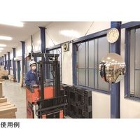 カーボーイ どこでもミラー 小 直径約210mm DM-03 1個 64-9105-70（直送品）