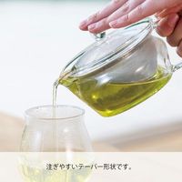 HARIO (ハリオ) 茶茶急須 450ml 禅 CHZ-45T 1個