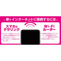 カシムラ HDMIタイプA延長ケーブル USB1ポート KD-260 1本