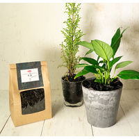 【園芸用品】 サンアンドホープ クラフト 竹炭 1L 1袋（1L入）