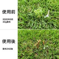 【園芸用品】 レインボー薬品 シバキーププラスV 2kg 1箱（2kg入）