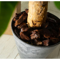 【園芸用品】 サンアンドホープ クラフト バークチップ（チップサイズS） 2L 1袋（2L入）