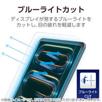 iPad Pro (M4) 11インチ 2024年用 ガラスフィルム 高透明 ブルーライトカット TB-A24PMFLGGBL エレコム 1個