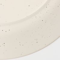 スプラッシュ柄プレート（L） ホワイト 1セット（2枚） LAKOLE/ラコレ