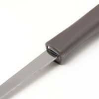 ステンレス製アク取り チャコール LAKOLE/ラコレ