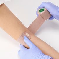 ニチバン くっつくバンデージ KBNL50L 1箱(12巻入)