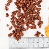 業務用 チョコクリスピー 400g 1袋 日本ケロッグ シリアル