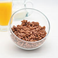 業務用 チョコクリスピー 400g 6袋 日本ケロッグ シリアル