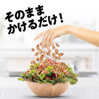 玄米フレーク 240g 1セット（1袋×2） 日本ケロッグ シリアル