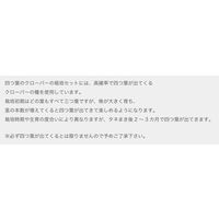 聖新陶芸 聖新 みつかる四葉クローバー栽培セット GD-592 1箱