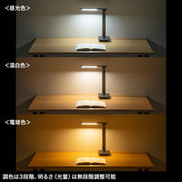 サンワサプライ USB充電式LEDデスクライト LED-DESK1BK 1個（直送品）