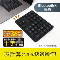 ナカバヤシ Bluetooth 十字キー付きワイヤレステンキー 黒 TENBT03/BK 1個