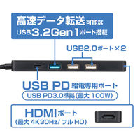 ナカバヤシ Type-C ドッキングステーション 4K対応 UDS-2K01P 1個