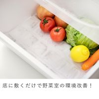 &NE nikii 野菜室シート 底に敷くだけ 野菜室の環境改善 好きな大きさにカットできる 1個（2枚入） 日本製 エヌ・エレファント