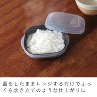 &NE 冷凍ご飯もふっくら解凍 Refura（レフラ）保存容器 3色セット 1個 電子レンジ可 エヌ・エレファント