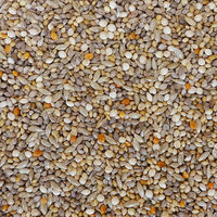 エクセル おいしい 小鳥の食事 皮付き 1.8kg 1セット（1袋×3）NPF 鳥 フード