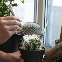 ダルトン METAL BRUSH/メタルブラシ G21-0387 1個（直送品）