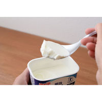 カンダ kan 絶妙サイズの取りわけスプーン 4949362705030 1個（直送品）