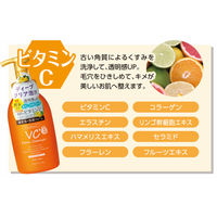 プラチナレーベル VC酵素配合泡洗顔 700ml 詰め替え ドウシシャ 5個 大容量 特大