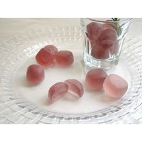 北海道ハスカップグミラブレ乳酸菌入 グミ ご当地 1セット（1個×4） カネカ食品