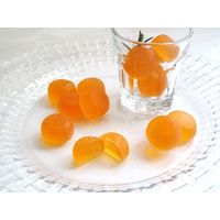 和歌山温州みかんグミラブレ乳酸菌入 グミ ご当地 1セット（1個×4） カネカ食品