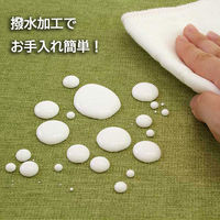 サンベルム ランチョンマット 30×40cm 撥水 リバーシブル グリーン K72503 1枚