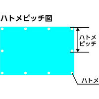 フローバル ブルーシート 厚手#3000 3.6×3.6 PBS3-3.6×3.6 1枚（わけあり品）
