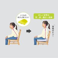 西川 Keeps 骨盤サポート まっすぐ姿勢 クッション 子供用 高反発 抗菌 理想な姿勢 ラベンダー HG93904653601 1個
