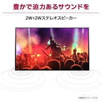 LG Electronics Japan  27インチ 液晶ディスプレイ(1920x1080/IPS/アンチグレア) 27MS550-B（直送品）