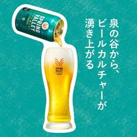 クラフトビール SPRING VALLEY BREWERY JAPANエール 香 350ml 6本