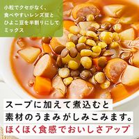 サラダクラブ レンズ豆＆ひよこ豆 50g 1袋 キユーピー パウチ