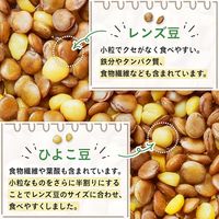 サラダクラブ レンズ豆＆ひよこ豆 50g 1セット（1袋×2）キユーピー パウチ
