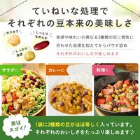 サラダクラブ ミックスビーンズ＜ひよこ豆・青えんどう・赤いんげん豆＞ 50g 1セット（1袋×3）キユーピー パウチ