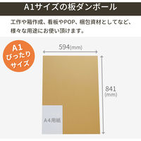 トッパン・コスモ 板ダンボール A1 841×594mm 50枚セット FB19-0050-SK 1セット(50枚)（直送品）