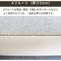 トッパン・コスモ 板ダンボール 片面白 180×90cm 5mm 60枚セット FB15-0060-SK 1セット(60枚)（直送品）