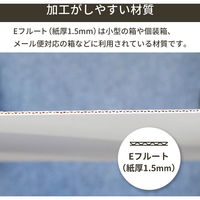 トッパン・コスモ 板ダンボール 片面白 A1 841×594mm 10枚セット FB24-0010-SK 1セット(10枚)（直送品）