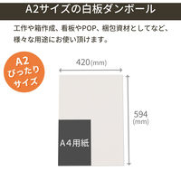 トッパン・コスモ 板ダンボール 片面白 A2 594×420mm 20枚セット FB25-0020-SK 1セット(20枚)（直送品）