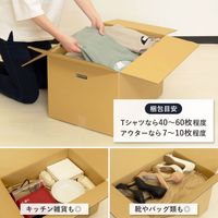 トッパン・コスモ 140サイズダンボール 手穴 5枚セット 53×38×33cm FD04B-0005-SK 1セット(5枚)（直送品）