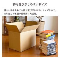 トッパン・コスモ 100サイズダンボール 30枚セット 38×27×28cm FD06-0030-SK 1セット(30枚)（直送品）