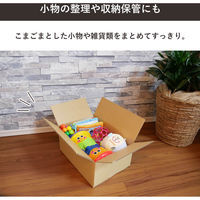 トッパン・コスモ 60サイズダンボール 5枚セット 24×19×14cm FD08-0005-SK 1セット(5枚)（直送品）