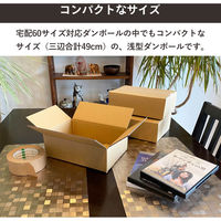 トッパン・コスモ 60サイズダンボール 10枚セット 24×17×8cm FD09-0010-SK 1セット(10枚)（直送品）